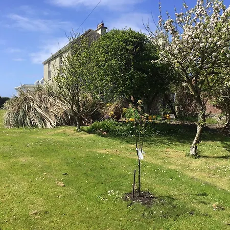 Berry * Spanish Point