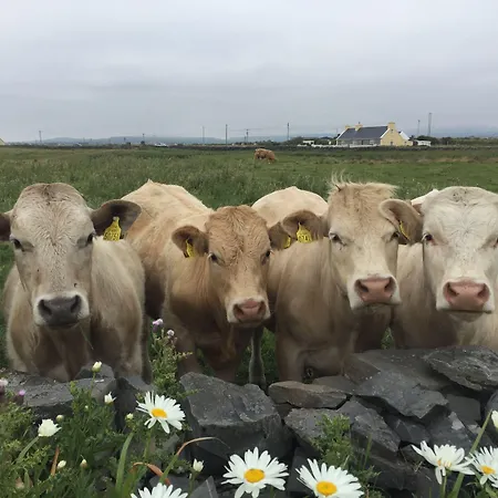 Berry Hétvégi ház Spanish Point