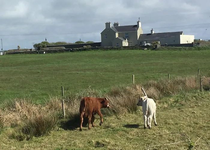 Berry בית כפרי ספניש פוינט