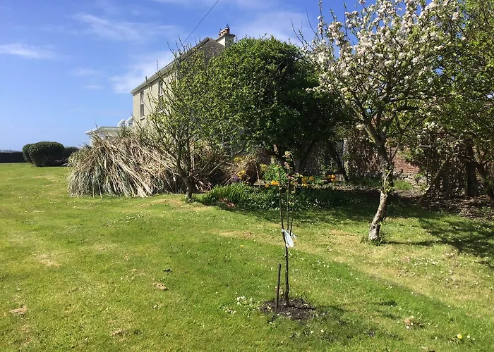 Berry * ספניש פוינט