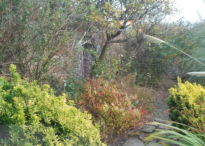 Berry * Spanish Point