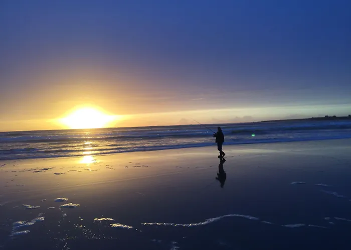 Berry ספניש פוינט