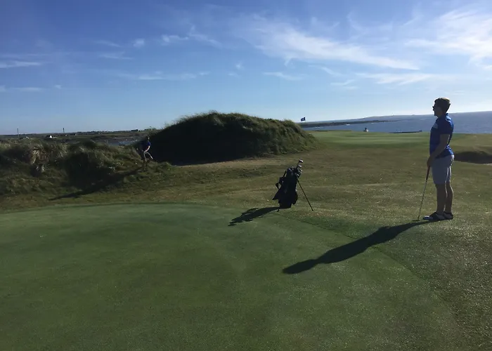 Berry * ספניש פוינט