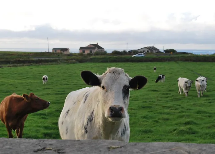 בית כפרי Berry *