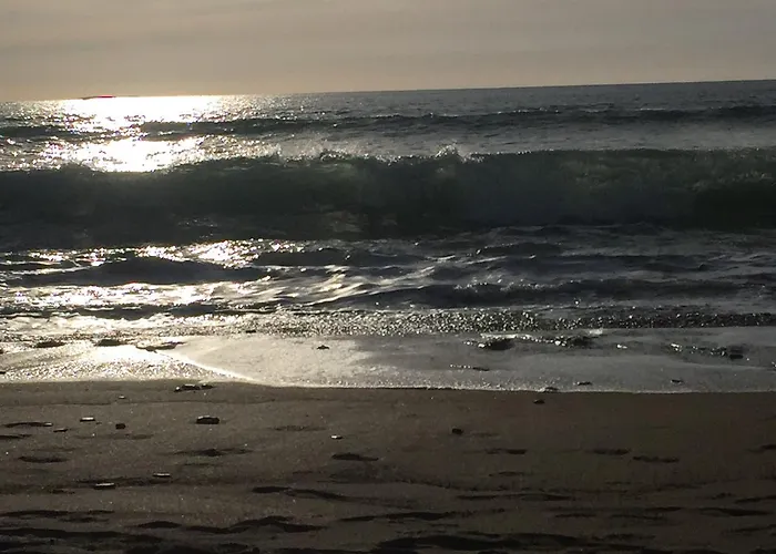 בית כפרי Berry ספניש פוינט