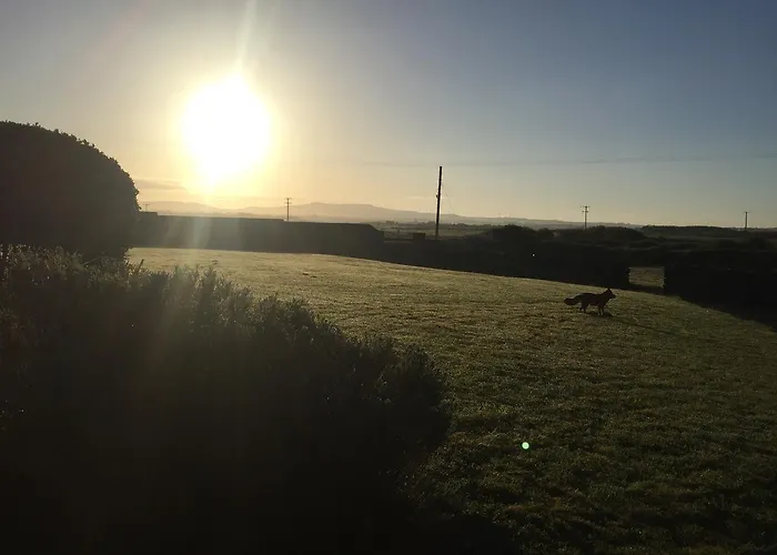 Berry בית כפרי