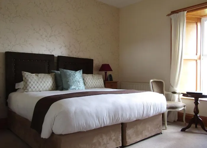 Berry * ספניש פוינט